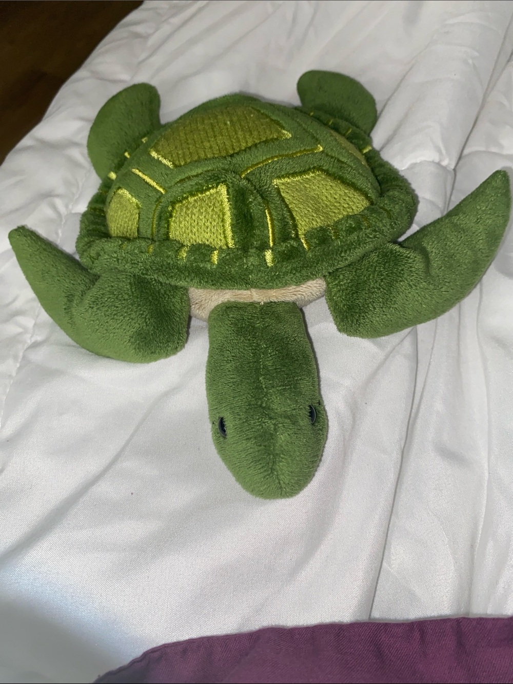 Starbucks Green Plush Turtle Pet Toy 2010